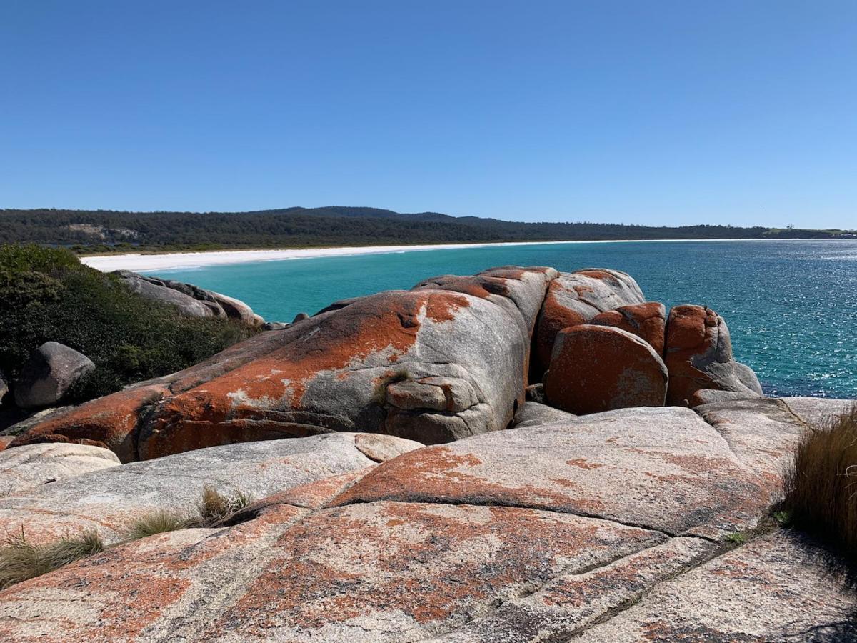 הוילה Binalong Bay Bay Of Fires Great Escape מראה חיצוני תמונה