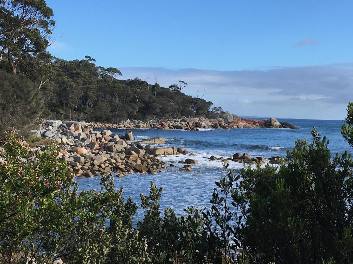 הוילה Binalong Bay Bay Of Fires Great Escape מראה חיצוני תמונה